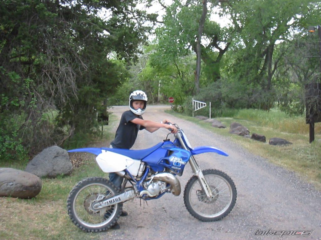 Photo 1285659