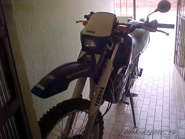 Photo 128579
