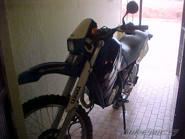 Photo 128580
