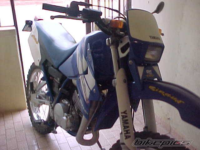 Photo 128583