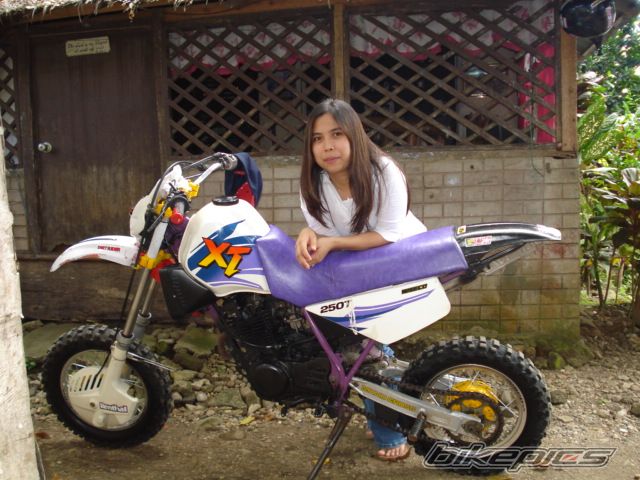 Photo 1285838