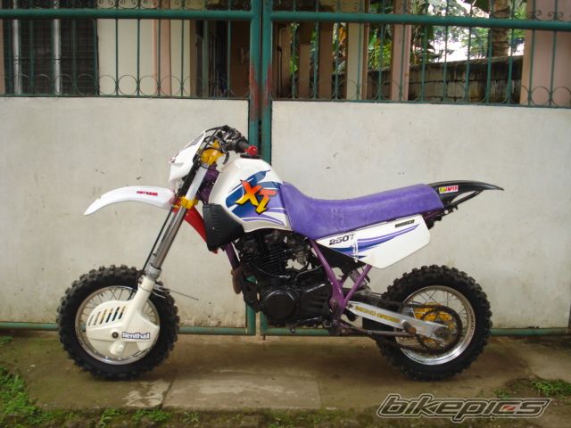 Photo 1285849