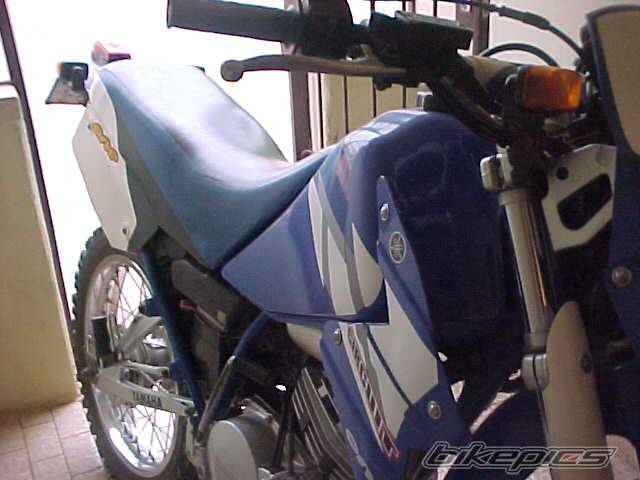 Photo 128585