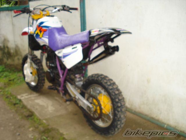 Photo 1285852