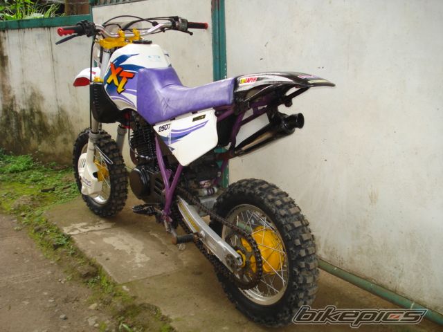 Photo 1285854
