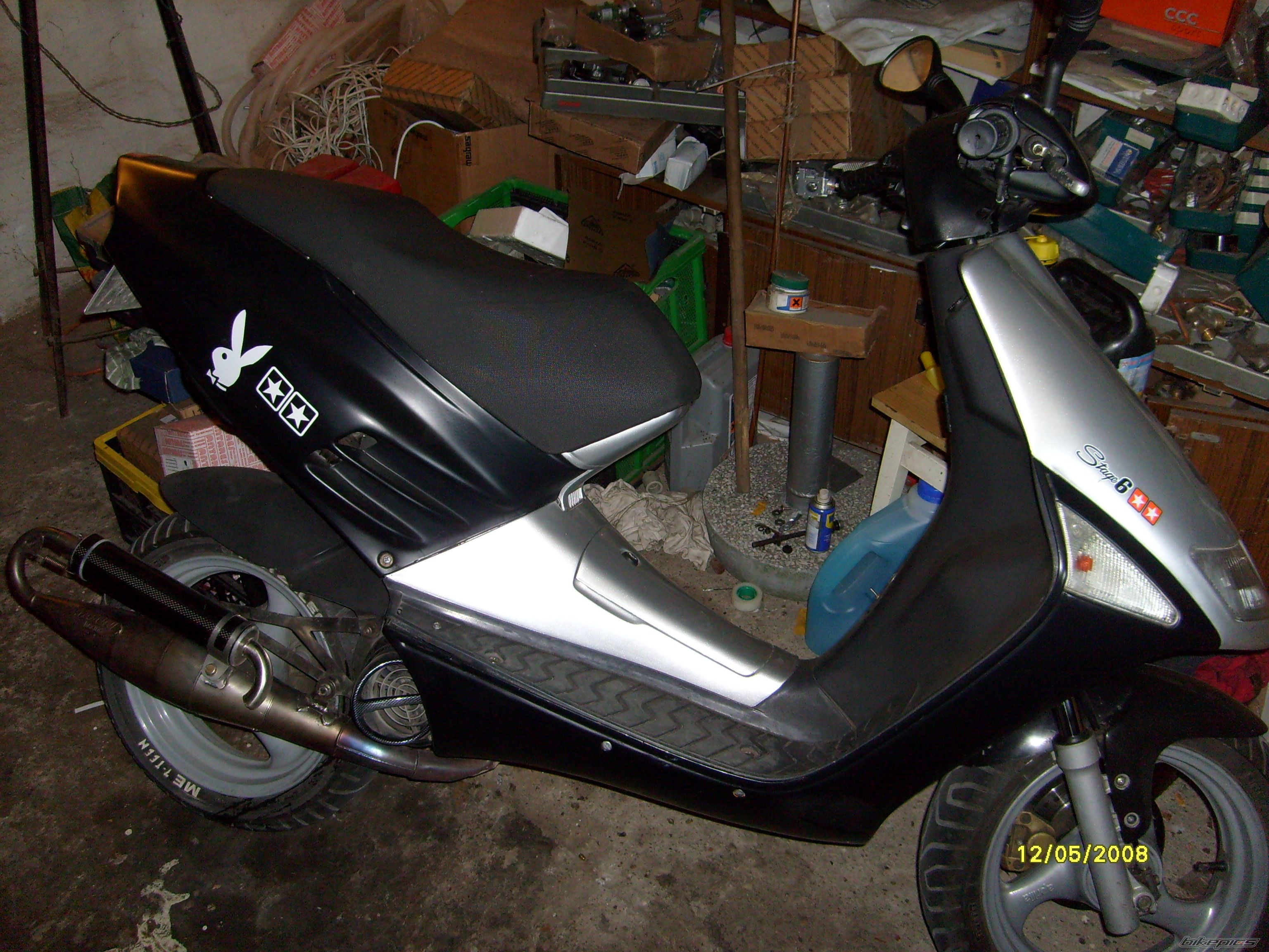Photo 1285882