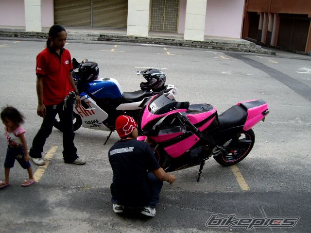 Photo 1285884