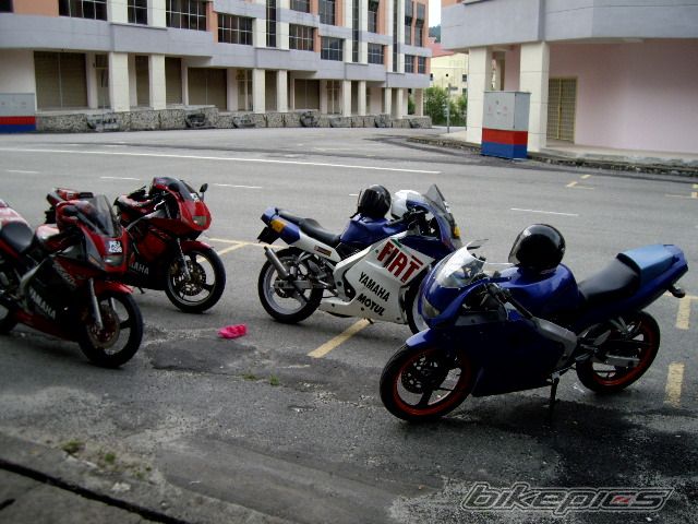 Photo 1285901