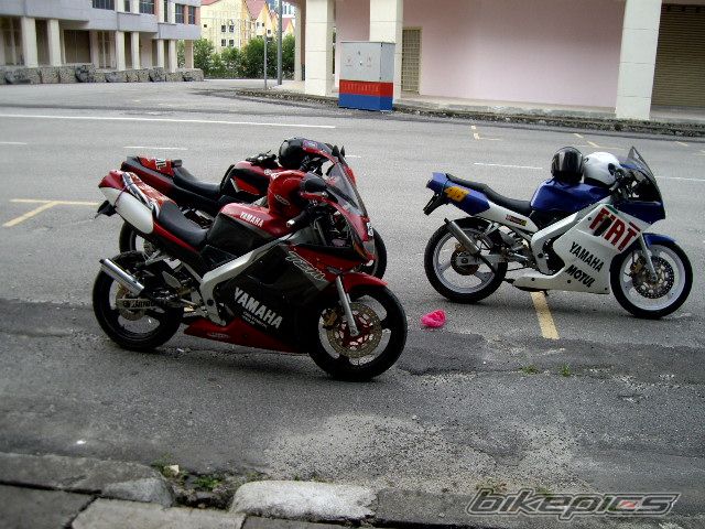 Photo 1285904