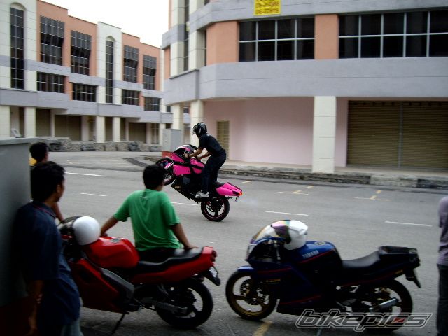 Photo 1285915