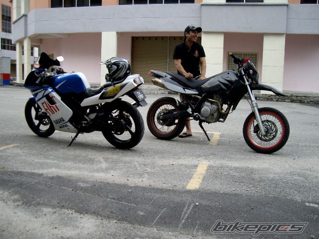 Photo 1285934