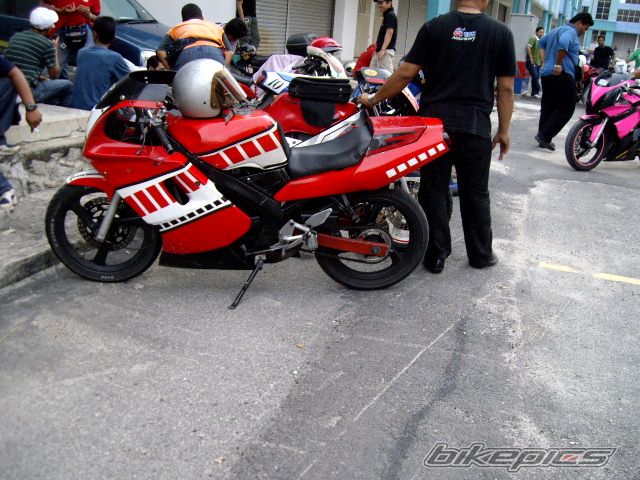 Photo 1285937