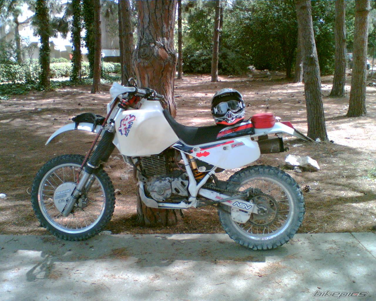 Photo 1286017