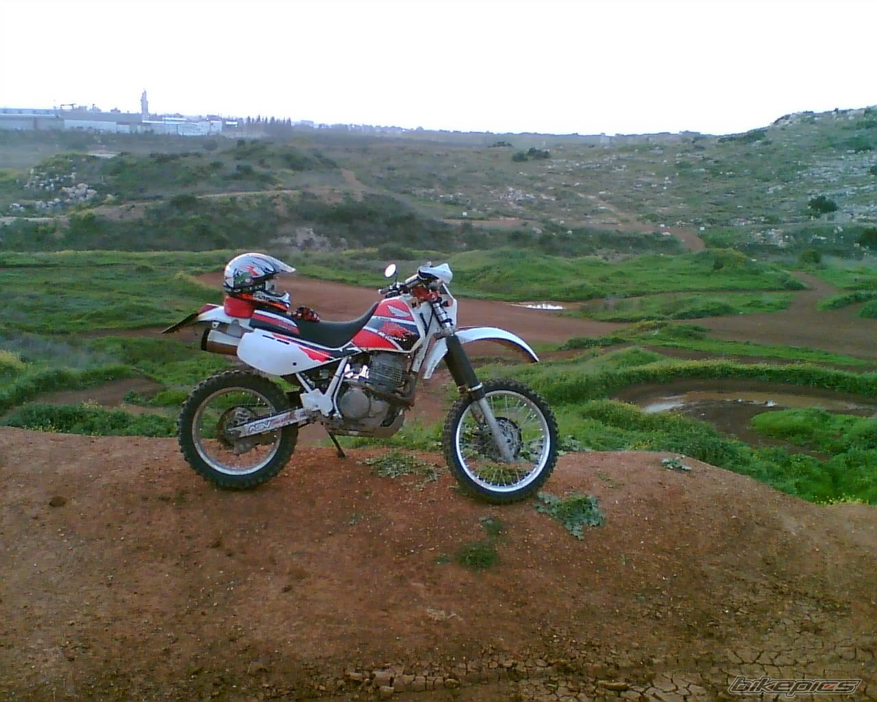 Photo 1286027