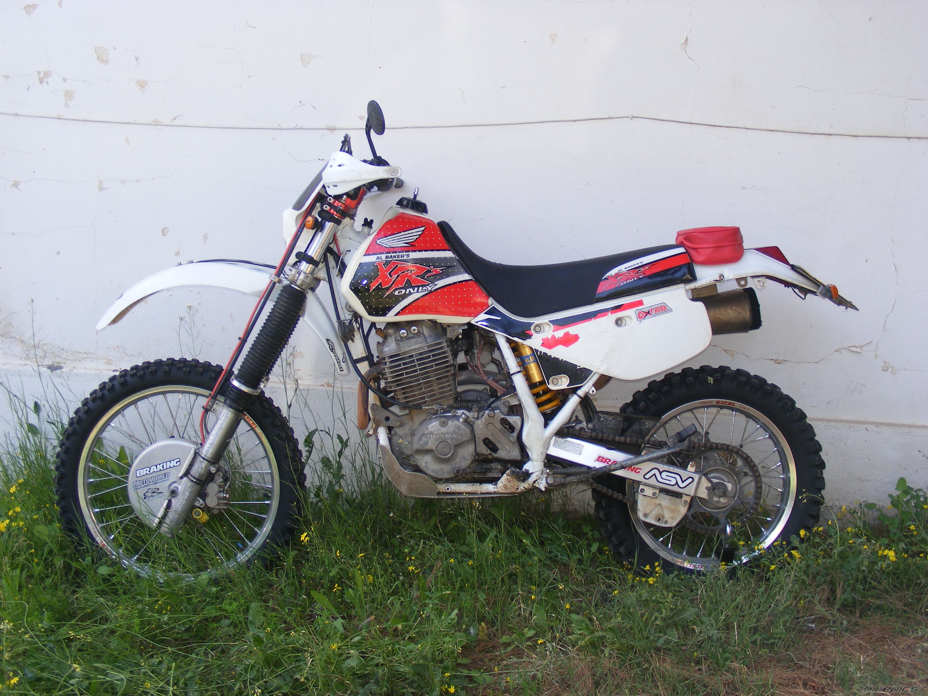 Photo 1286041