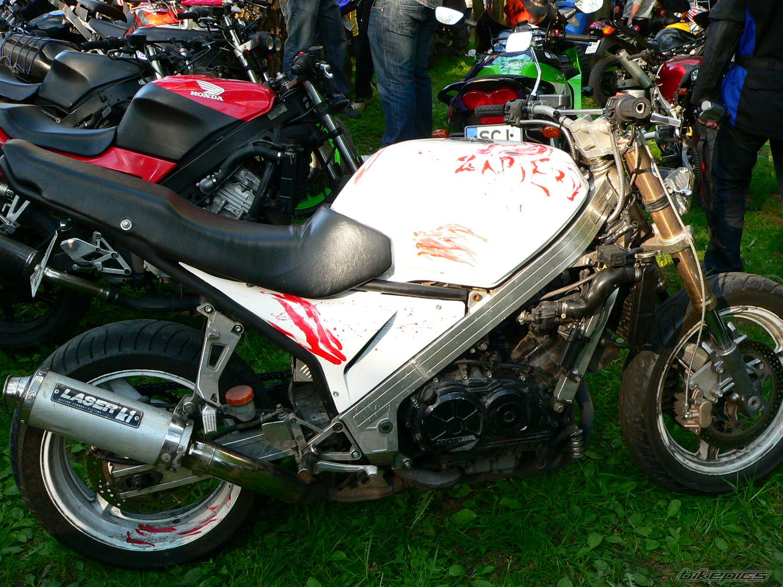 Photo 1286051