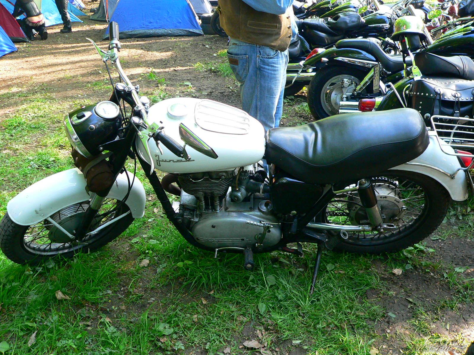 Photo 1286052
