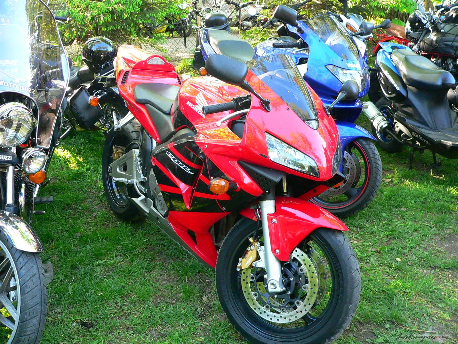 Photo 1286076
