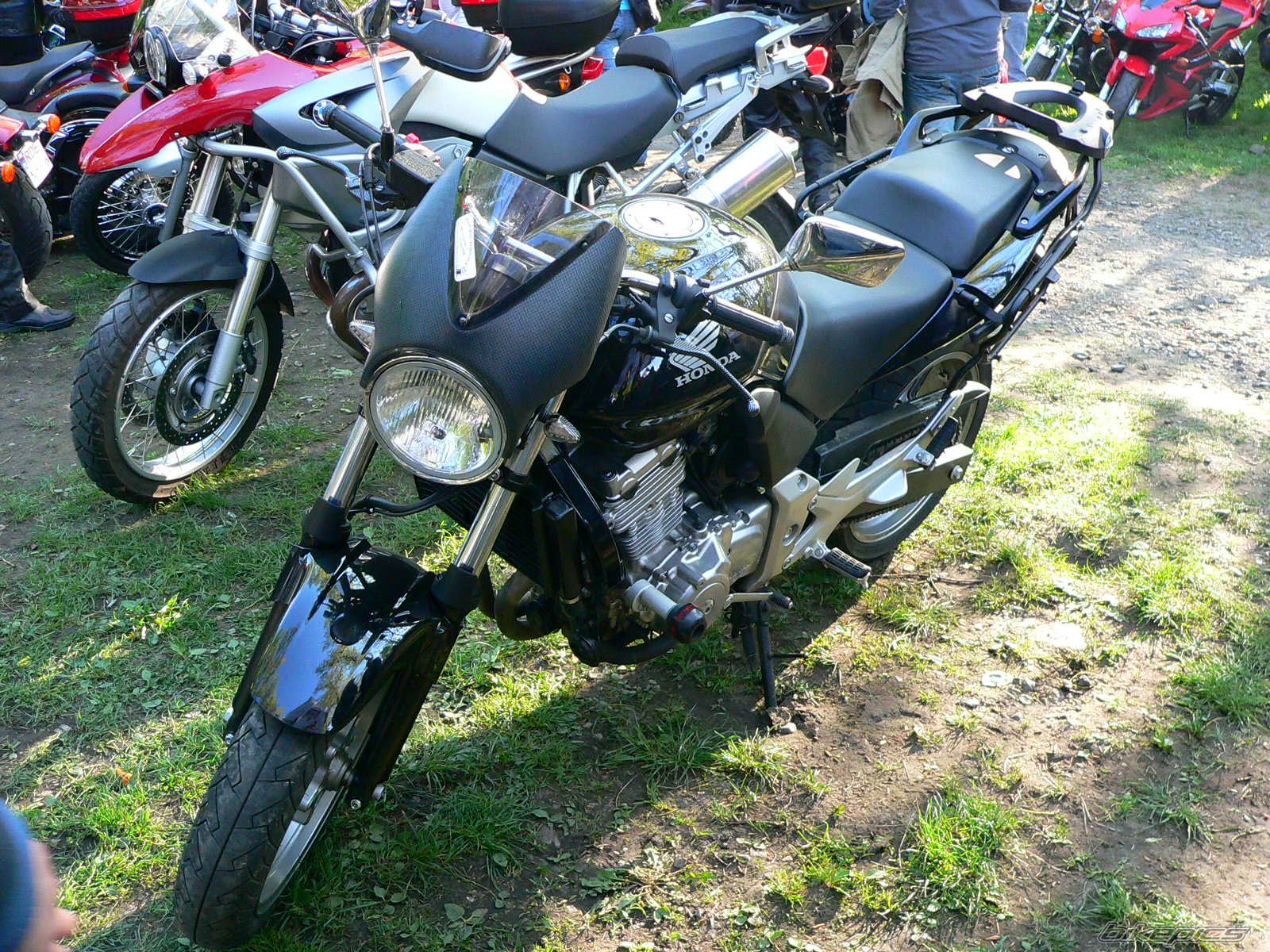 Photo 1286080