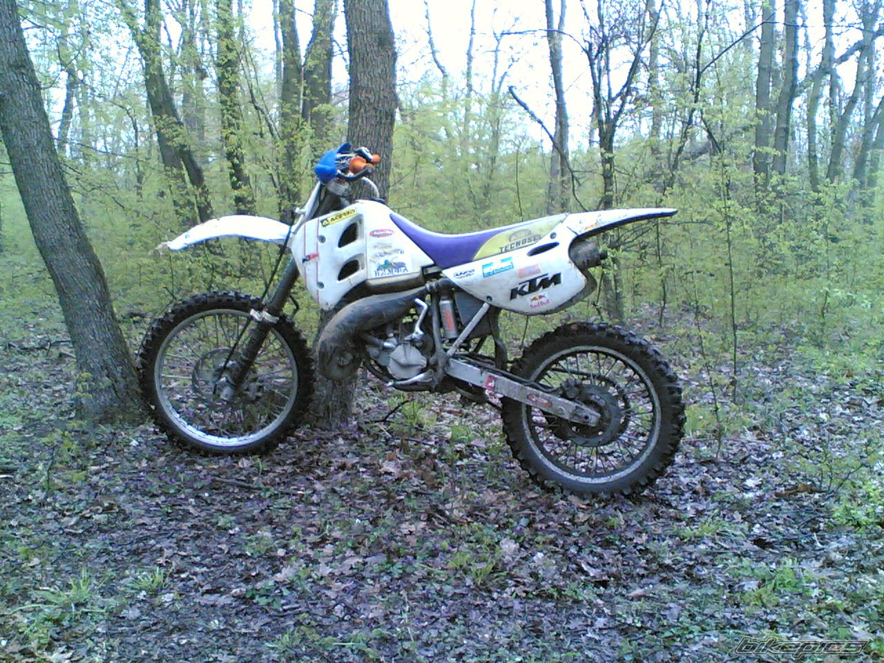 Photo 1286091
