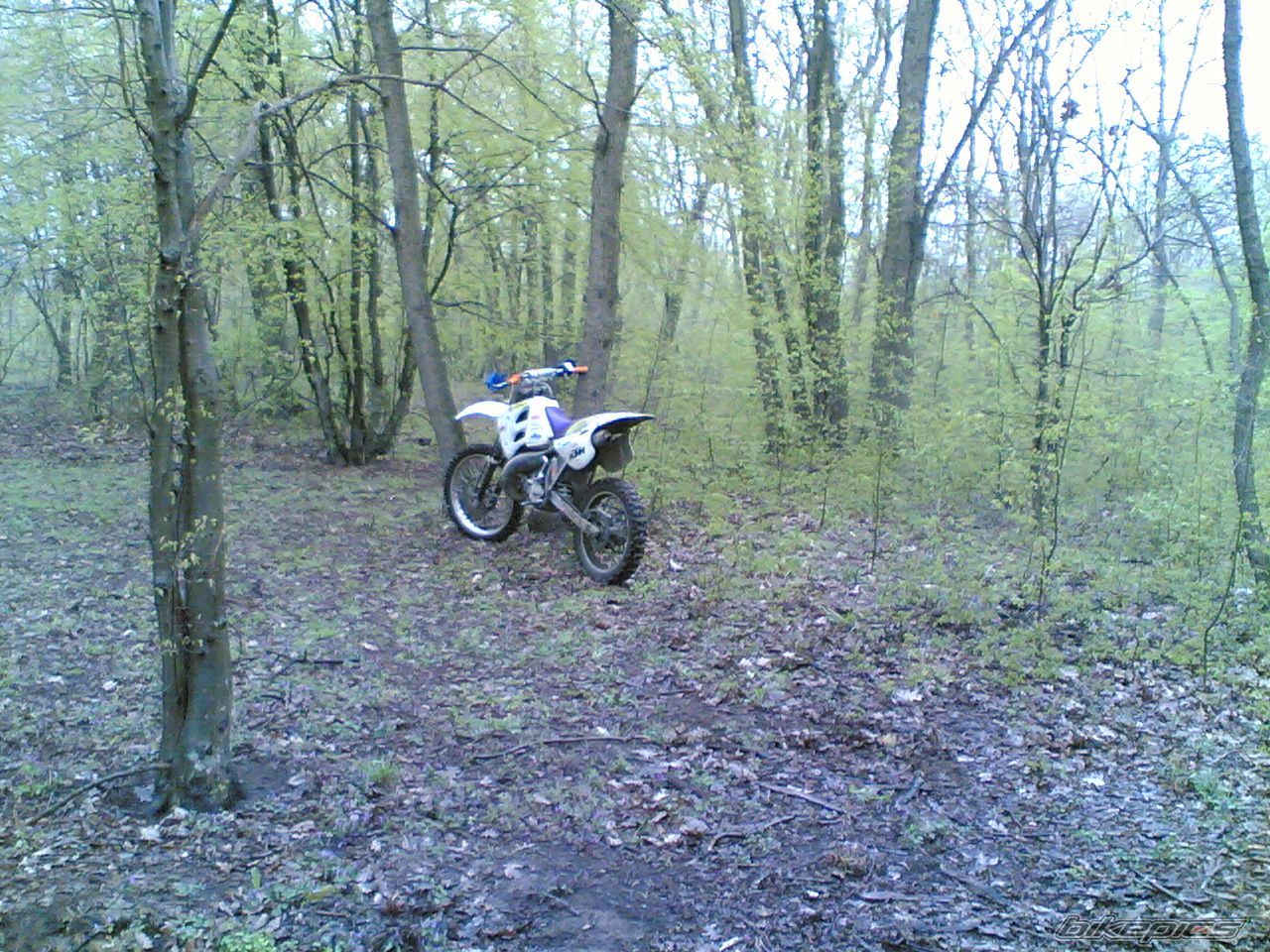 Photo 1286099