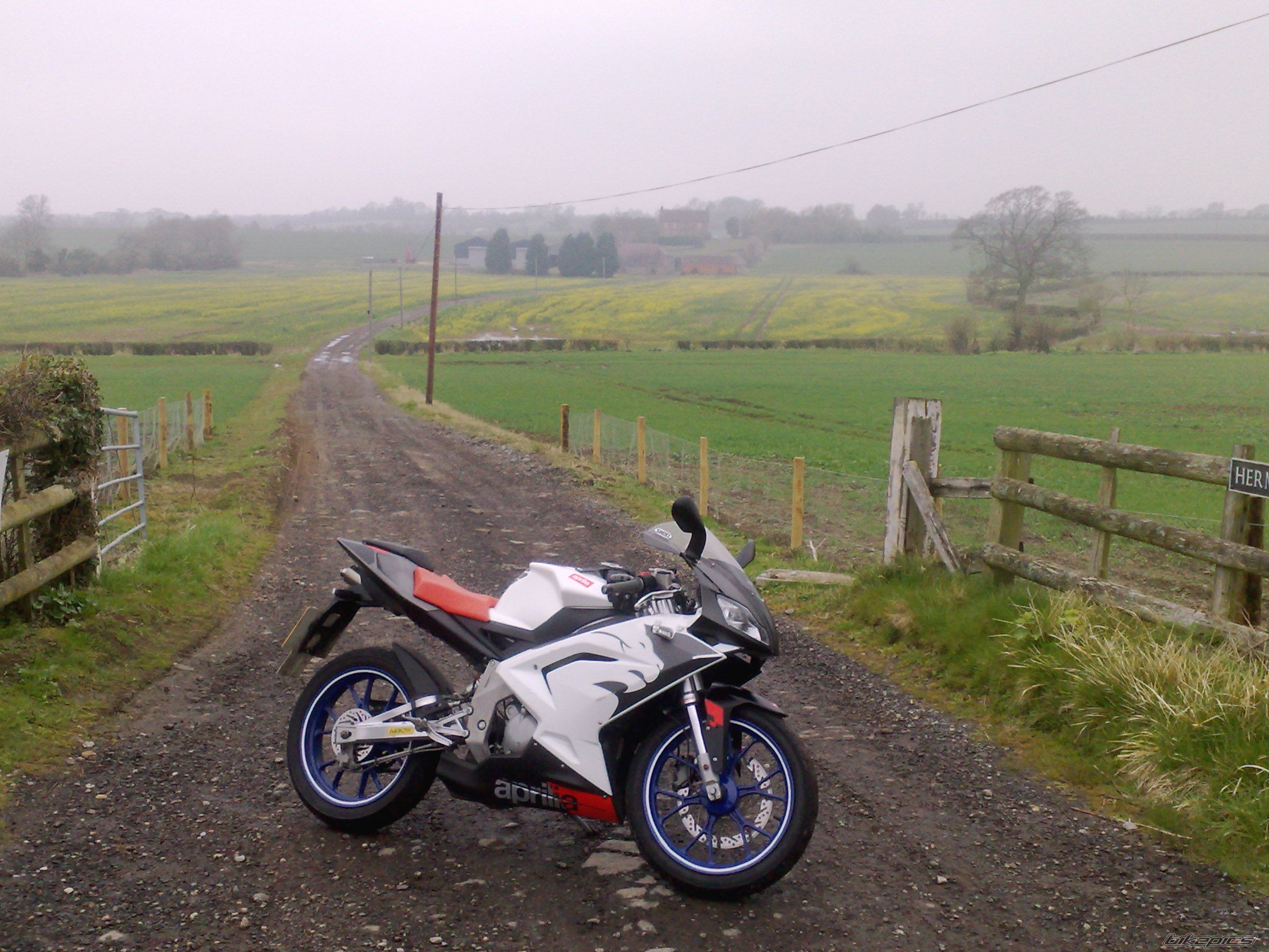Photo 1286112