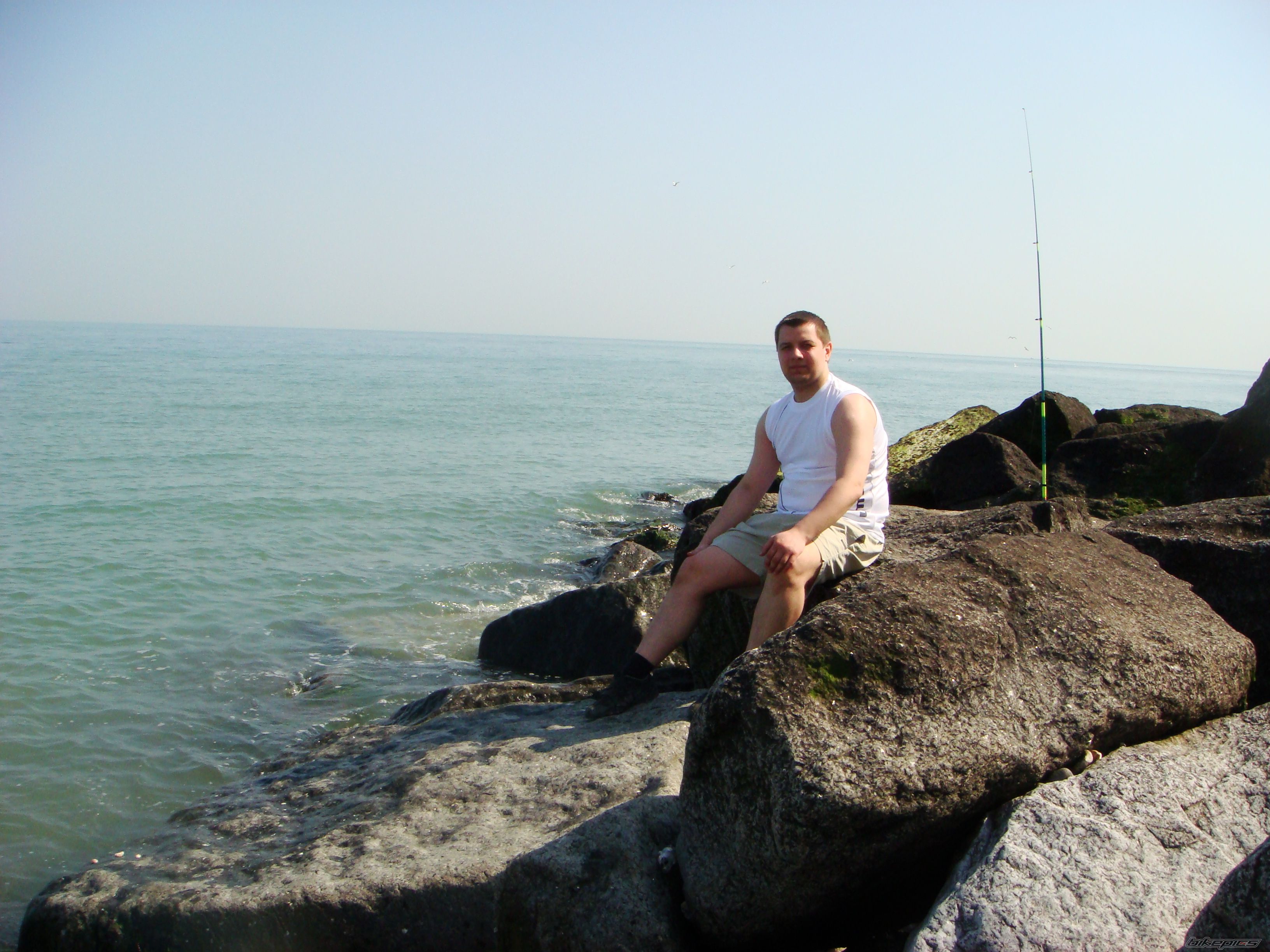 Photo 1286138