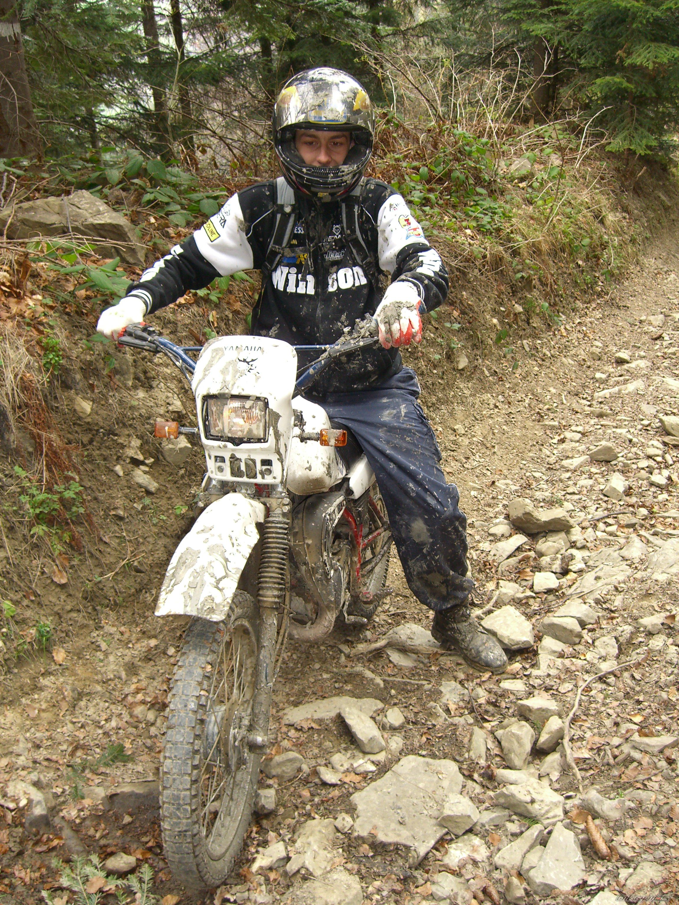 Bike Photo 1286142