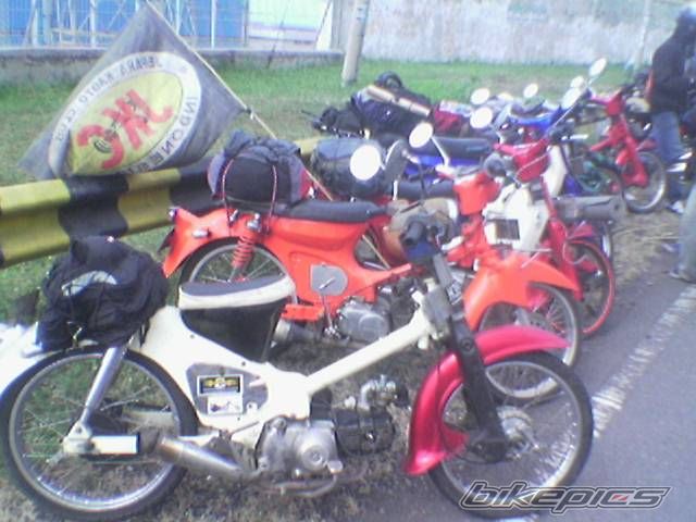 Photo 1286143