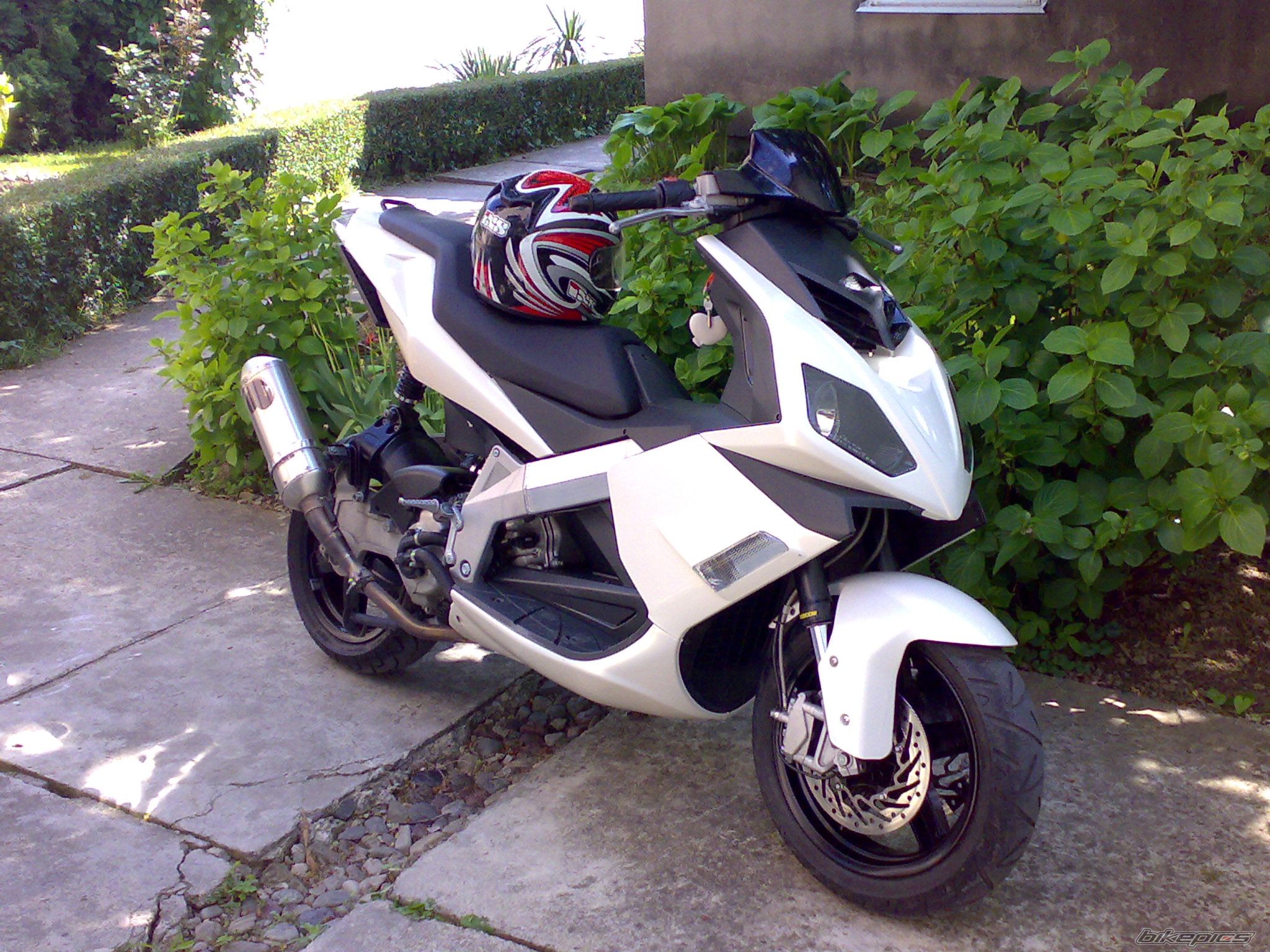 Photo 1286162