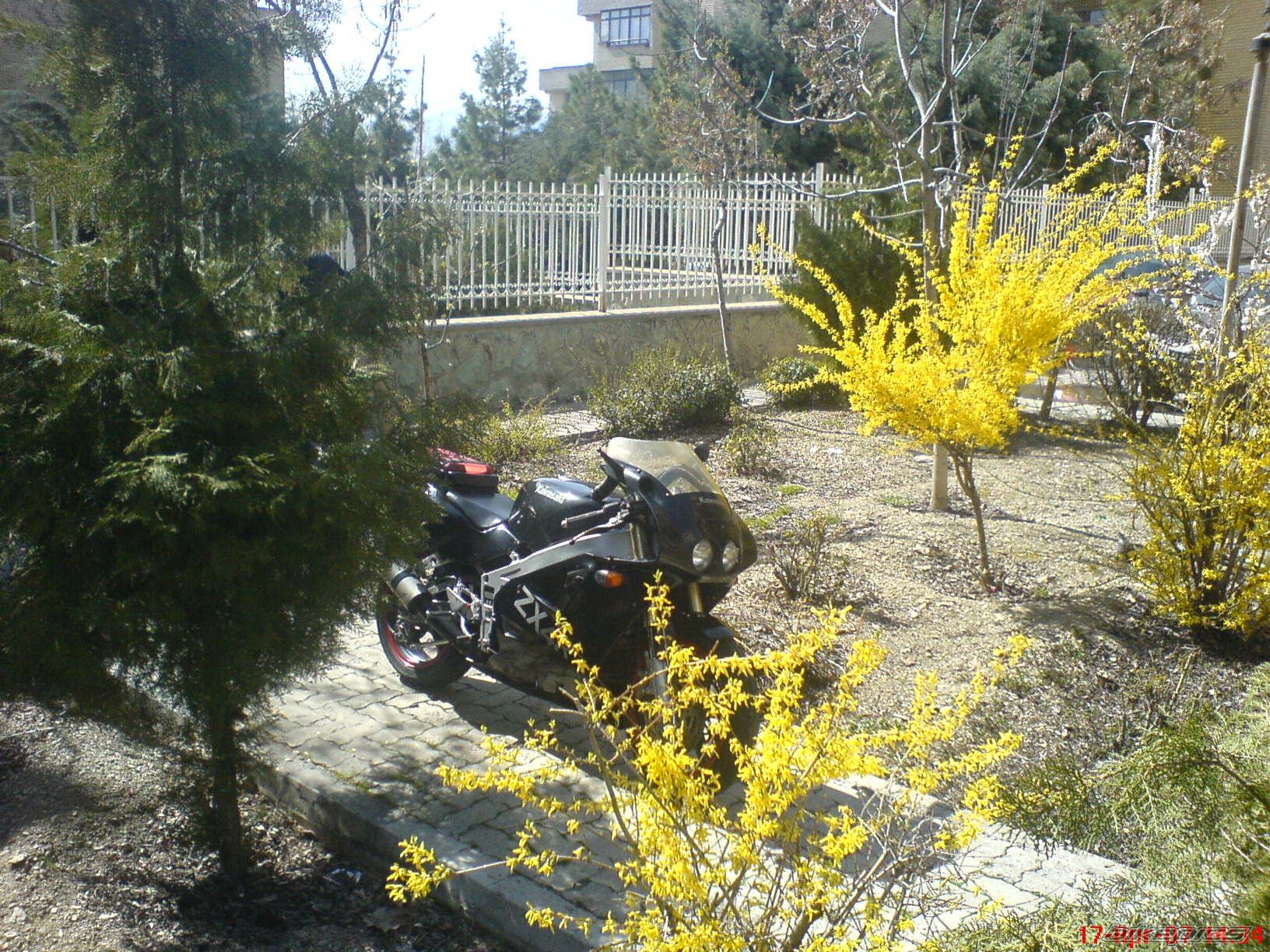 Photo 1286216