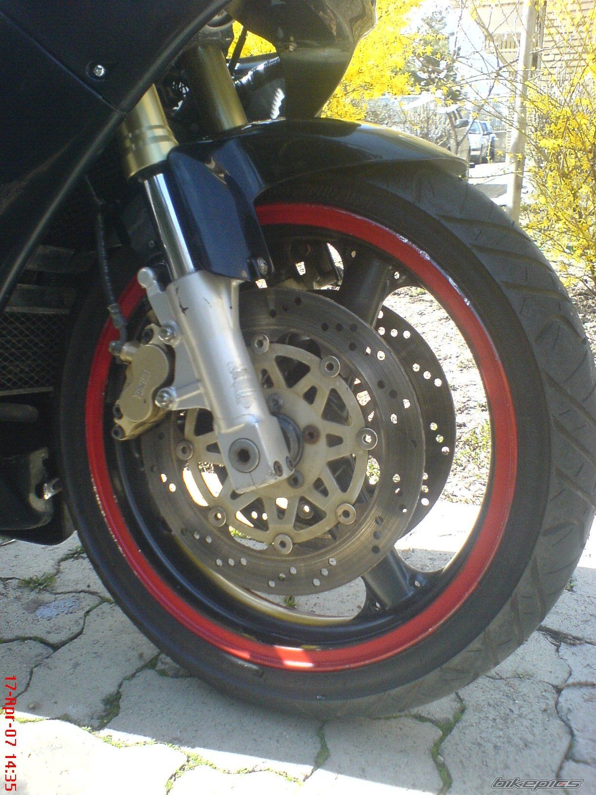 Photo 1286226