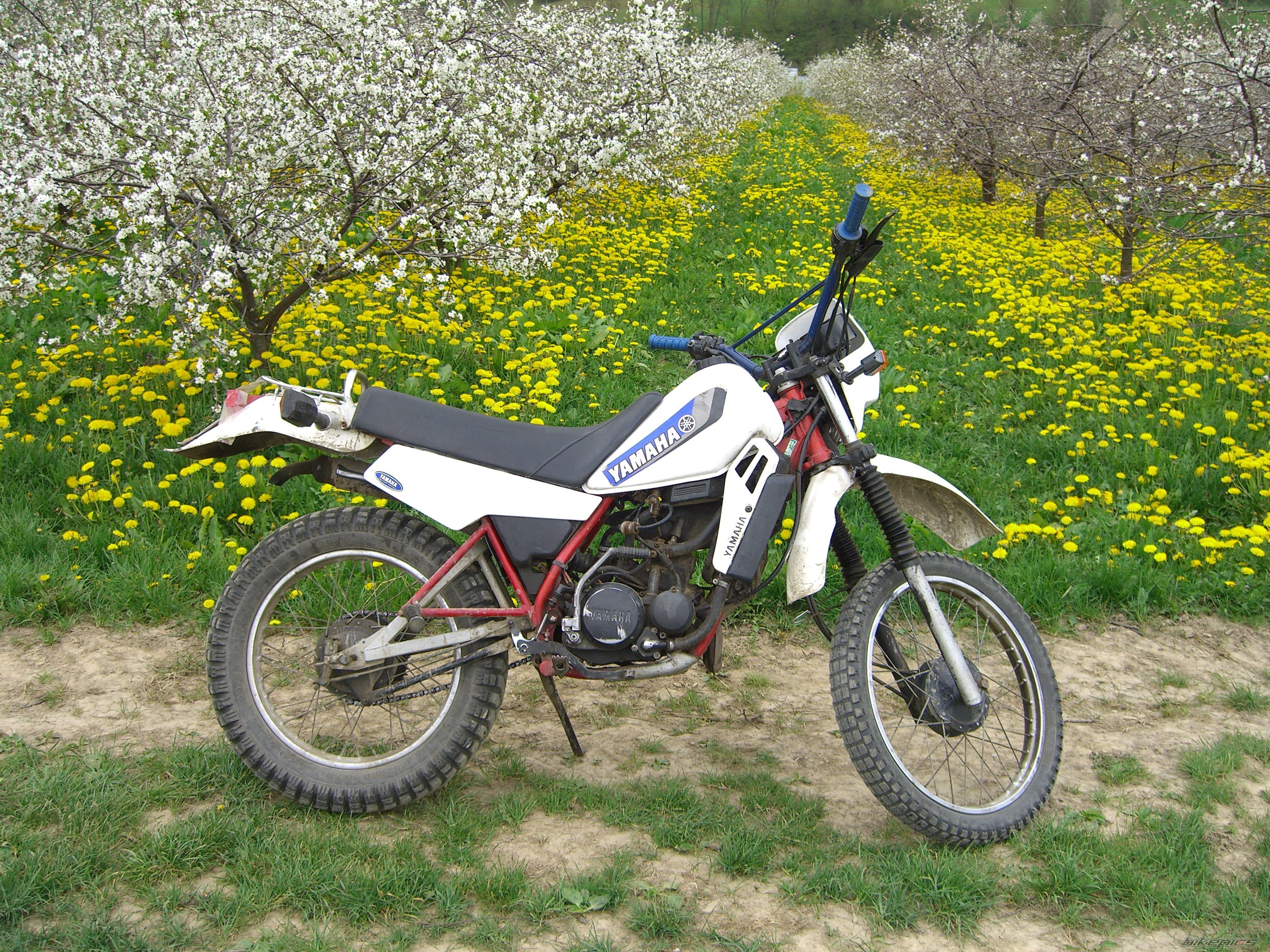 Bike Photo 1286237