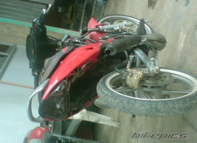 Photo 1286244