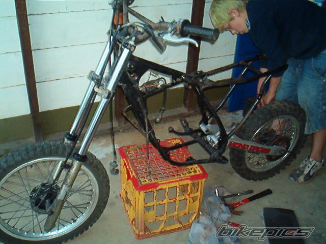 Photo 1286249