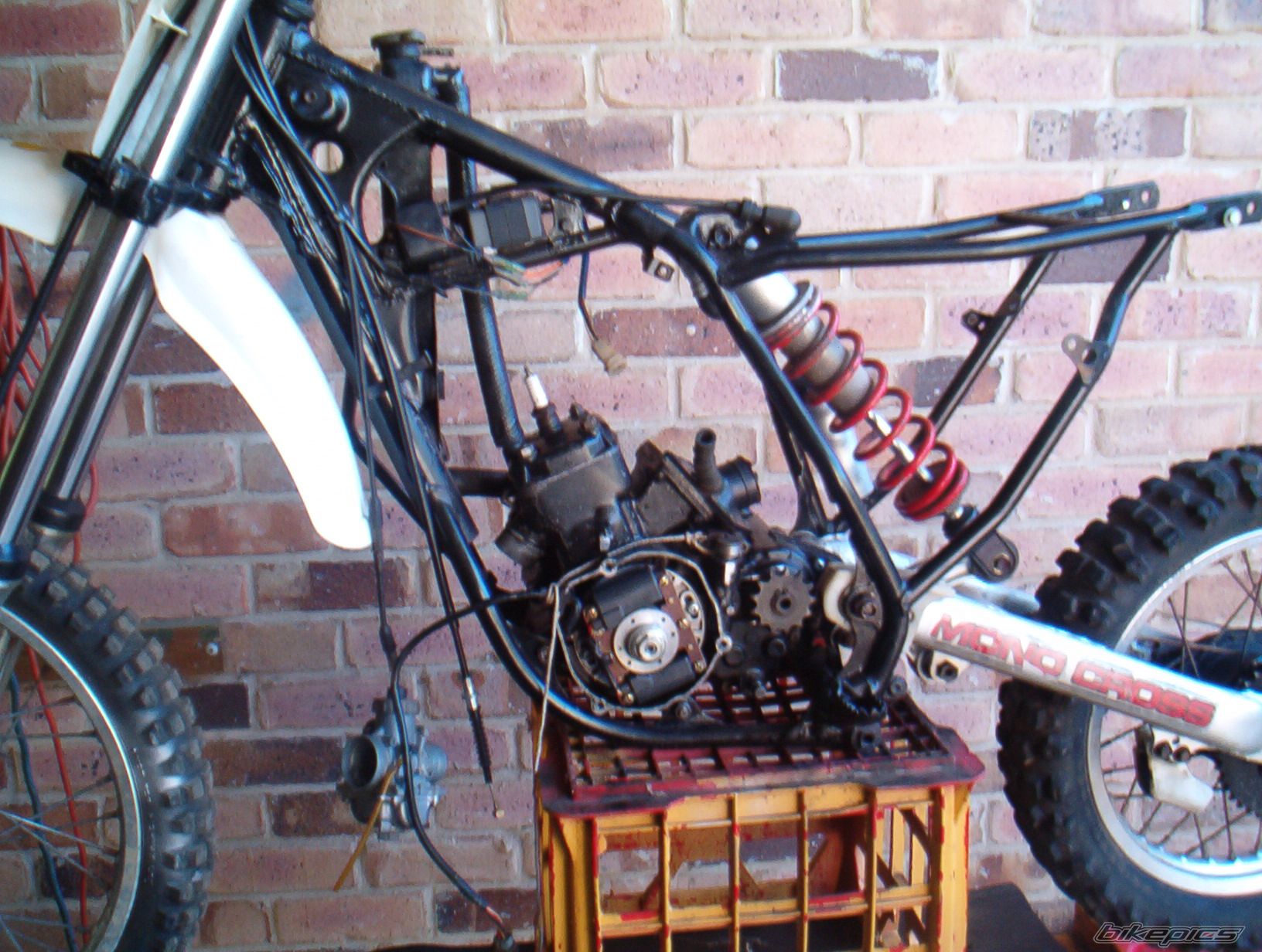 Photo 1286251
