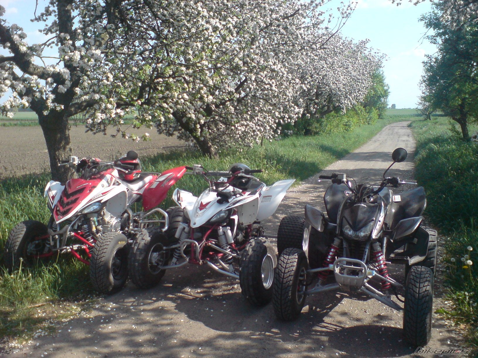 Bike Photo 1286276