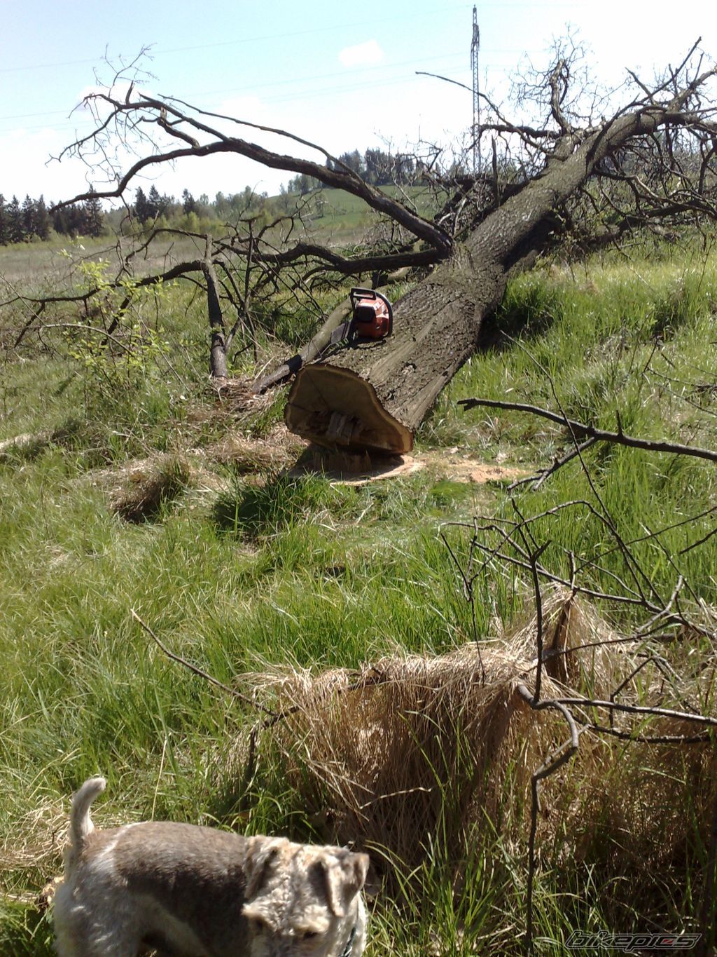 Photo 1286325