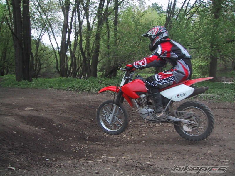 Photo 1286419