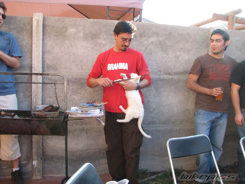 Photo 1286438