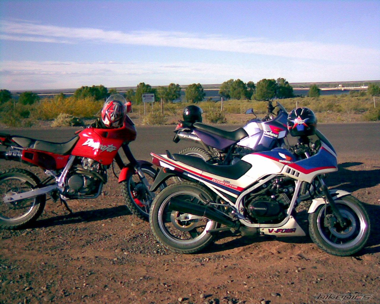 Photo 1286444