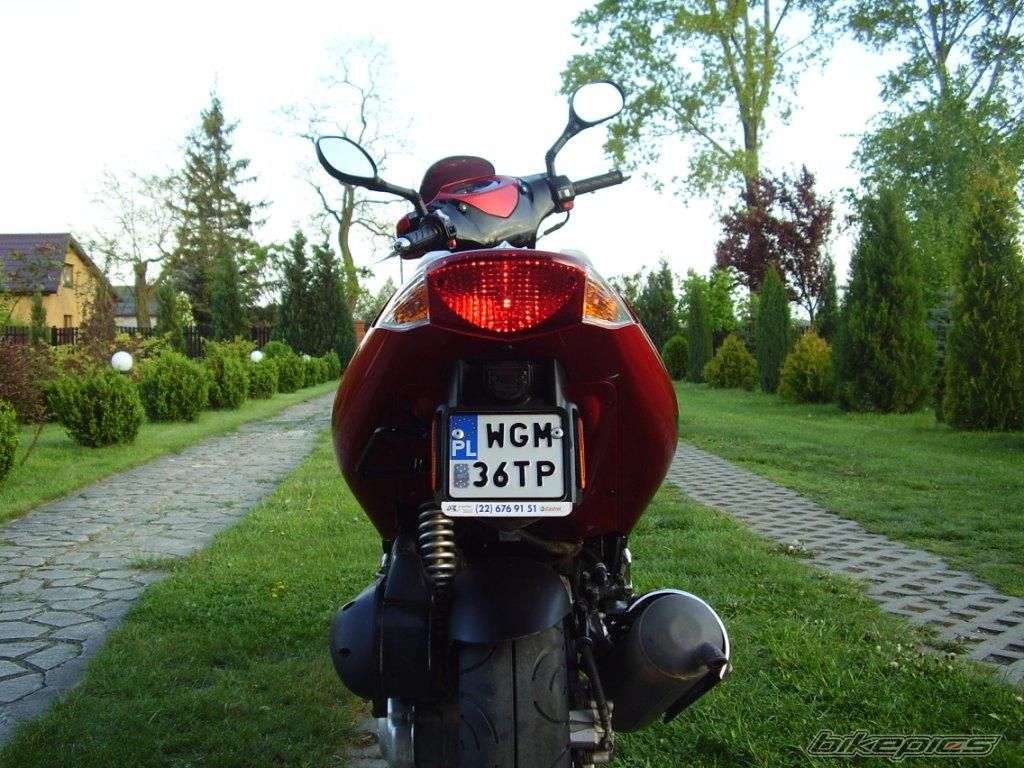 Photo 1286577
