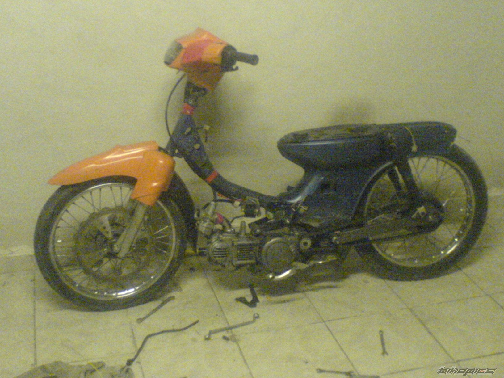 Photo 1286638