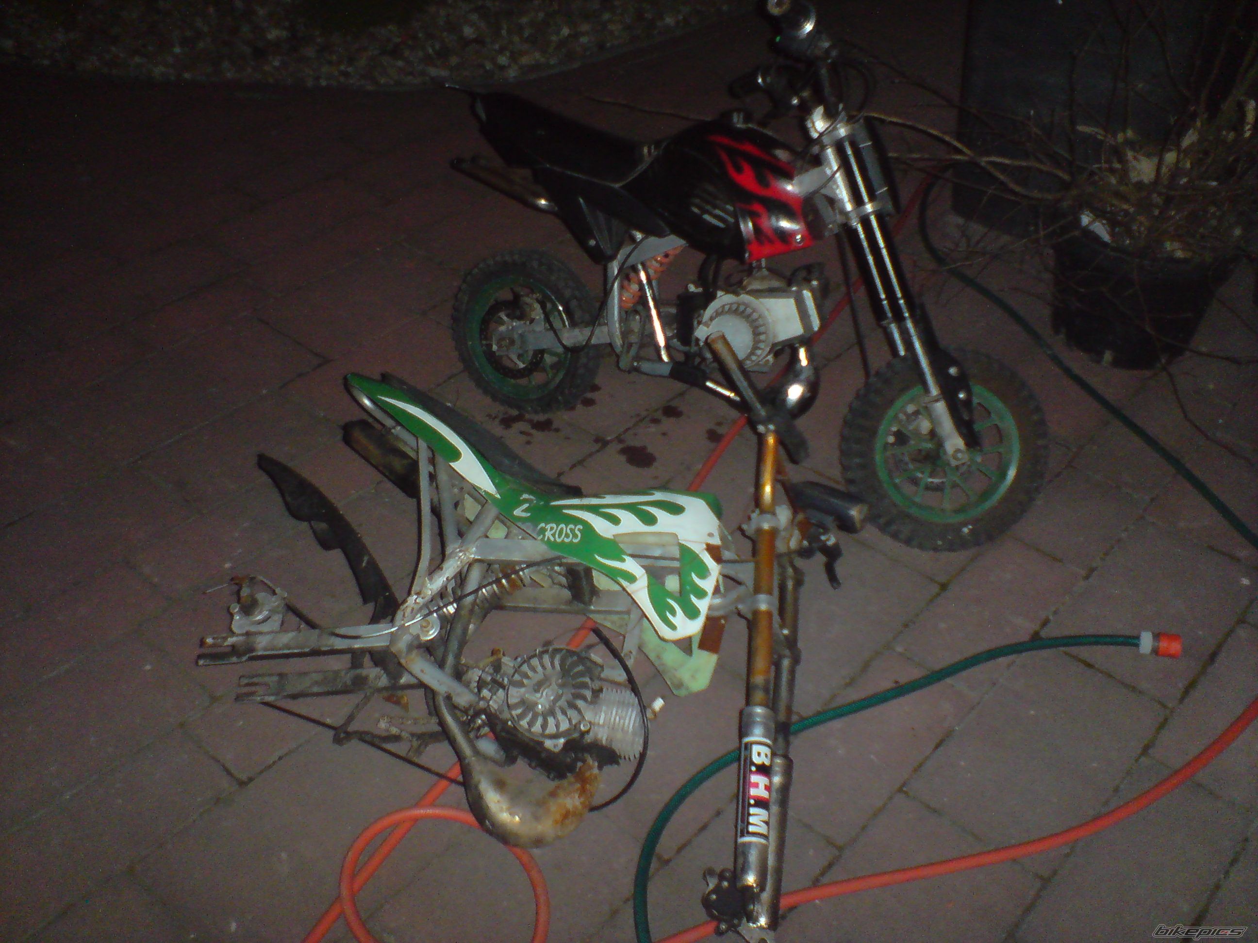 Photo 1286654