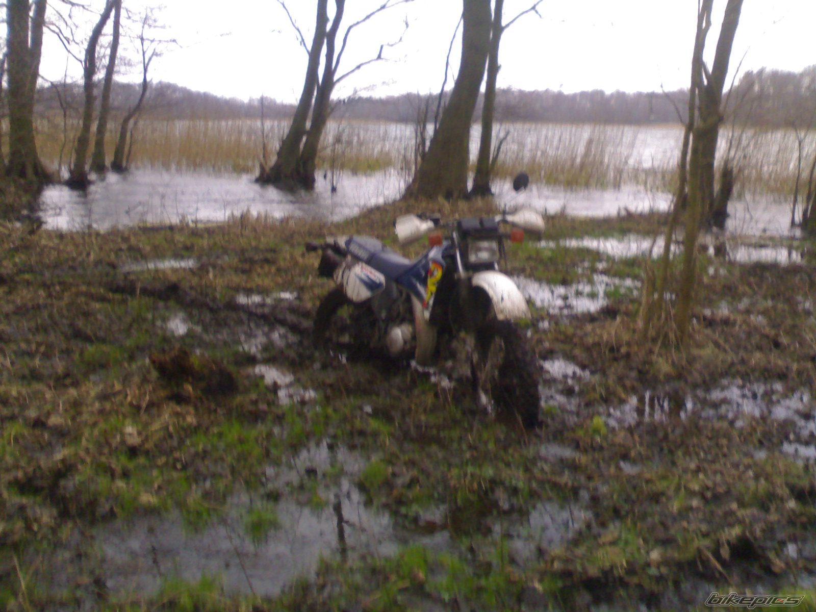 Bike Photo 1286682