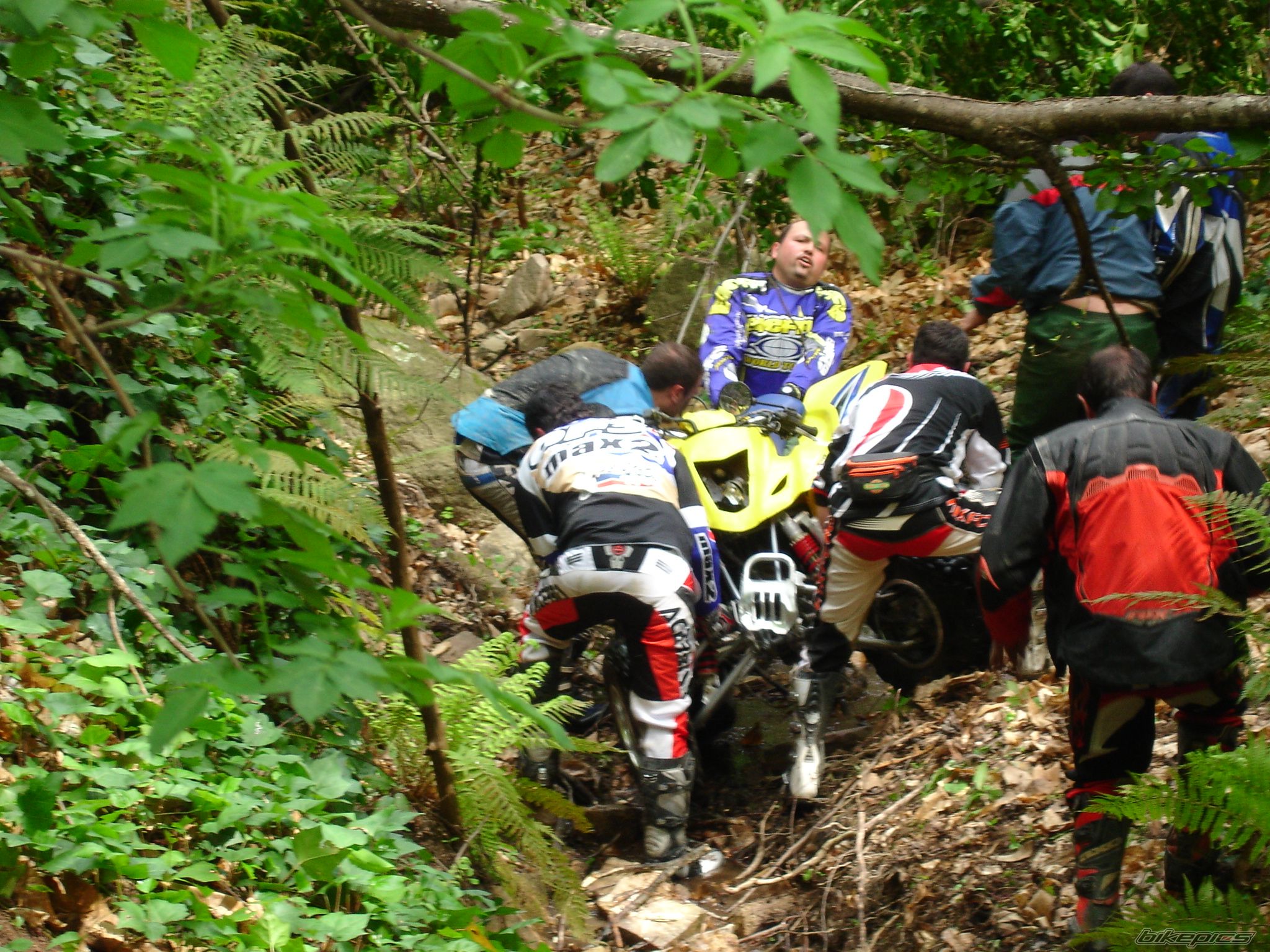 Bike Photo 1286687