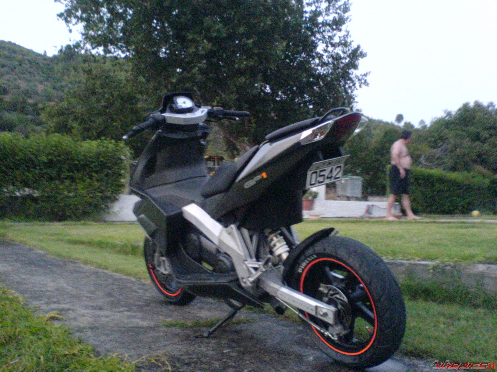 Photo 1286708