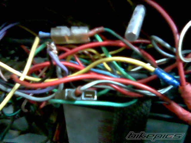 Photo 1286786