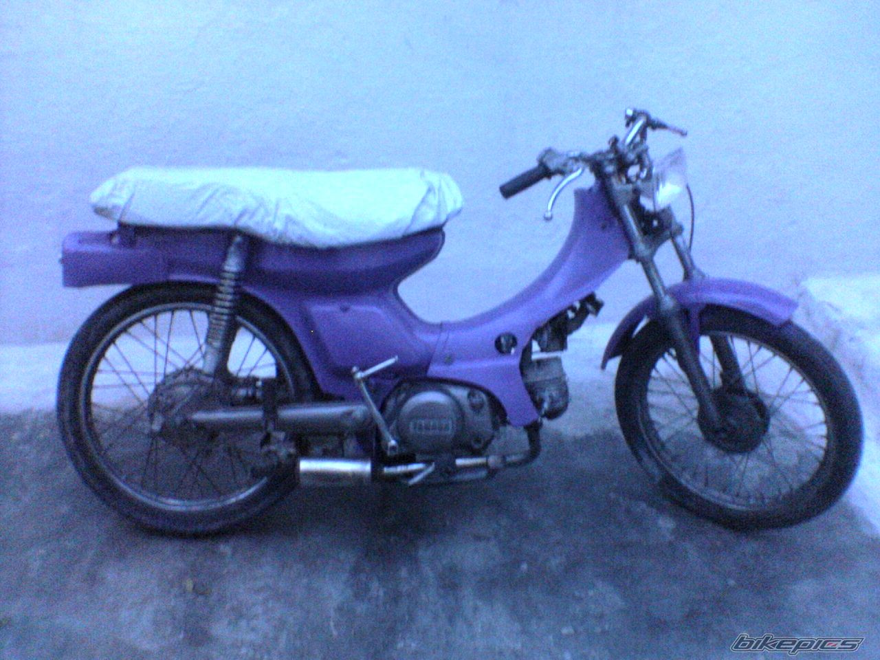 Photo 1286792