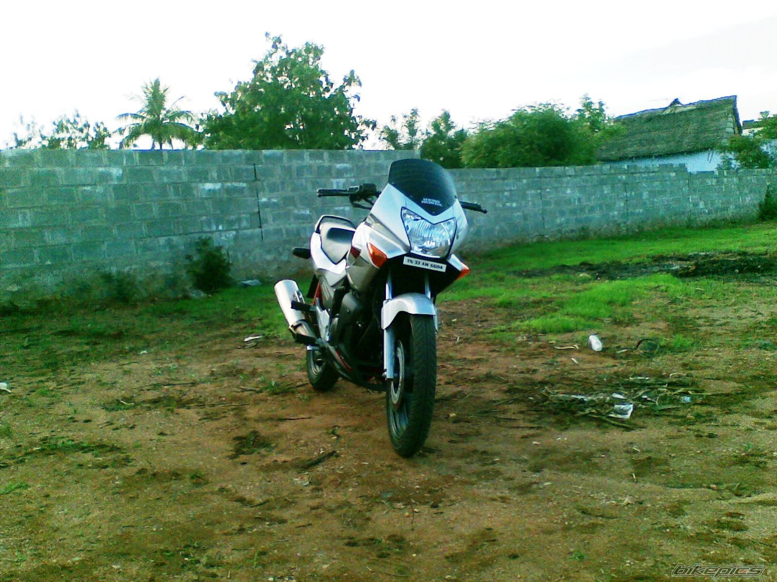 Photo 1286795